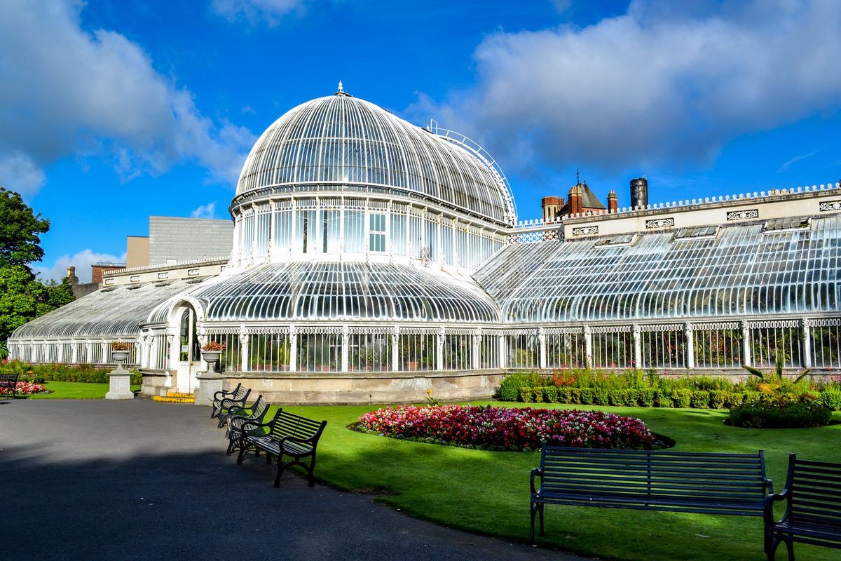 Creating a Victorian-Style Fernery in a Small UK Garden